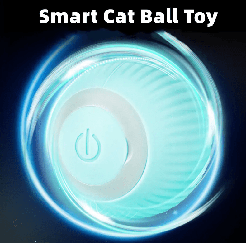 Ball Toy - Homestore Bargains