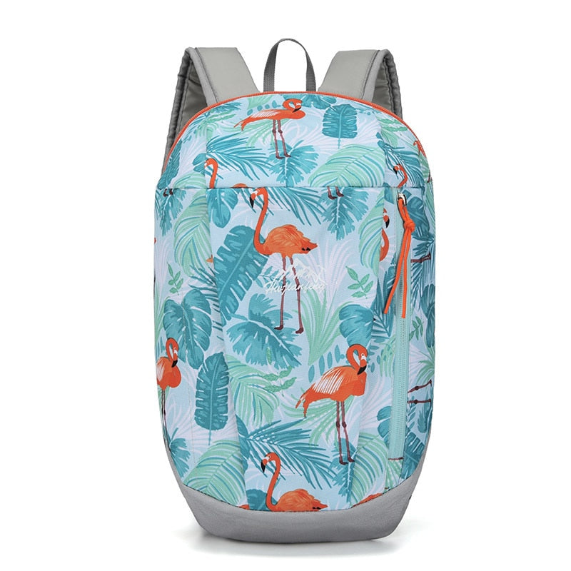 Hiking Backpack
