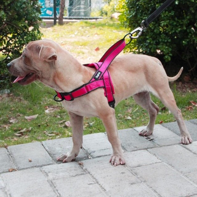 Adjustable Dog Harness - Homestore Bargains