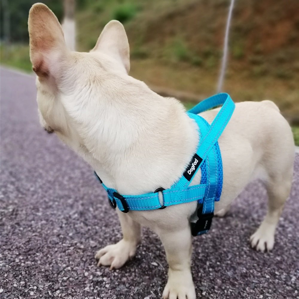 Adjustable Dog Harness - Homestore Bargains