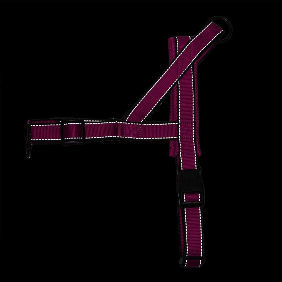 Adjustable Dog Harness - Homestore Bargains
