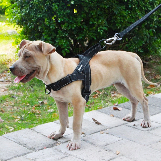 Adjustable Dog Harness - Homestore Bargains
