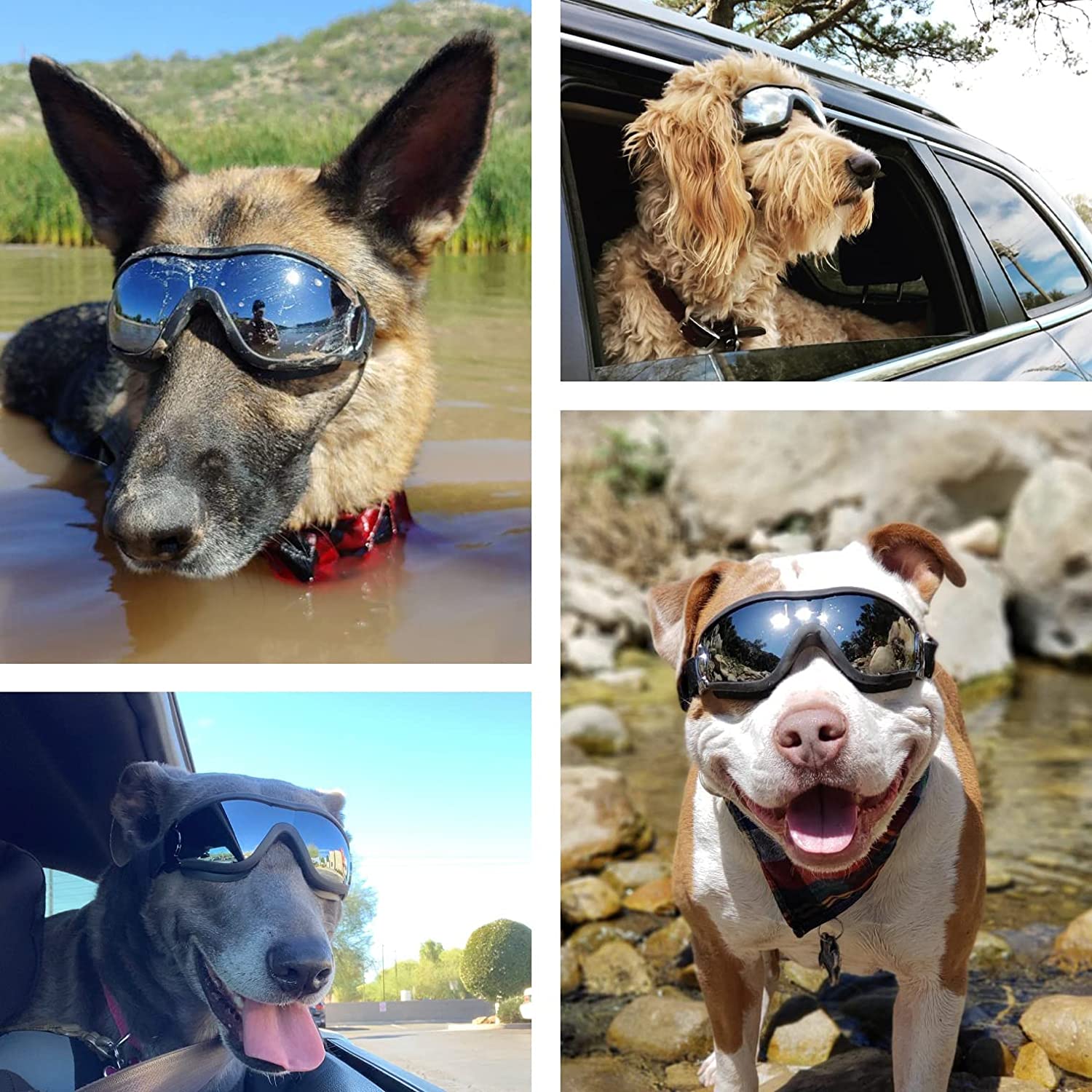 Adjustable Strap Dog Goggles - Homestore Bargains
