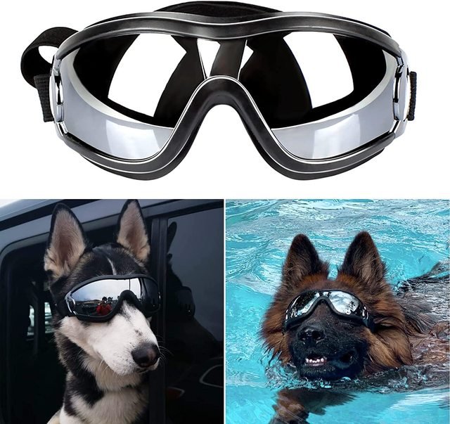 Adjustable Strap Dog Goggles - Homestore Bargains