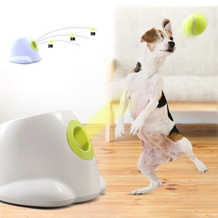 Automatic Ball Launcher For Dogs - Homestore Bargains