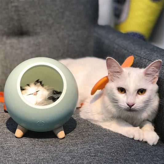 Cat Light - Homestore Bargains