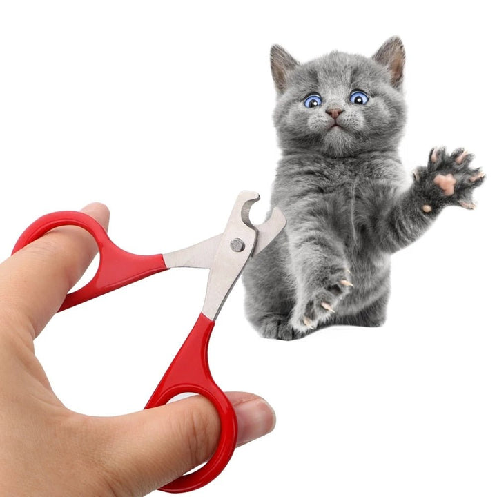 Cat Nail Clippers - Homestore Bargains
