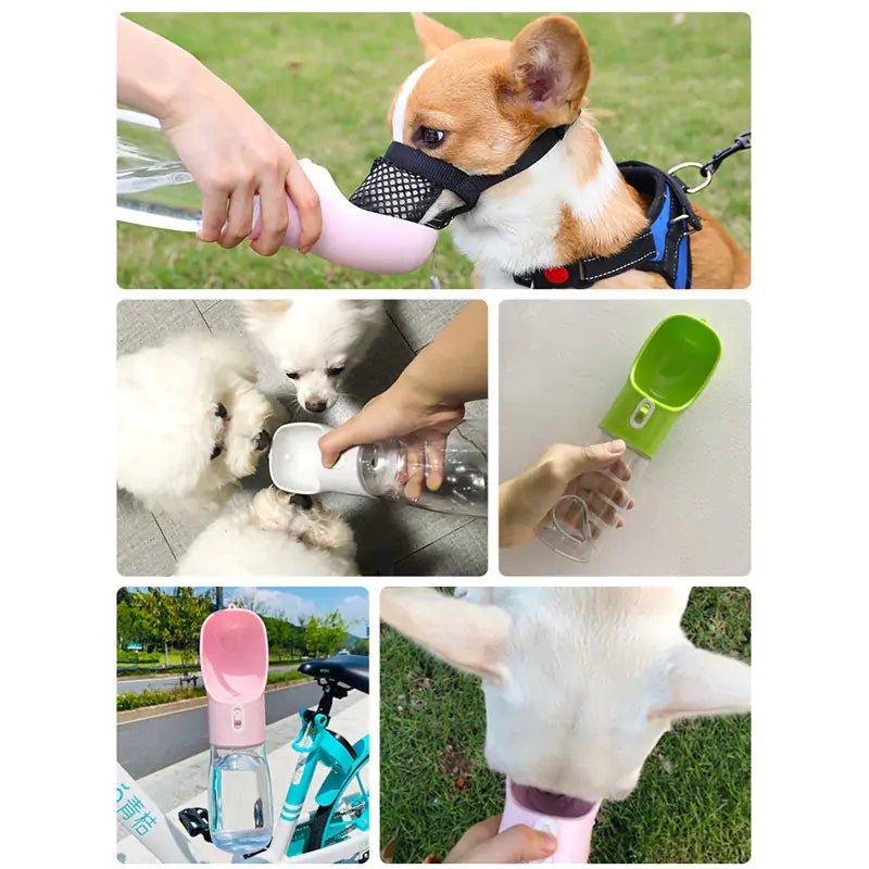 Dog Water and Food Dispenser - Homestore Bargains