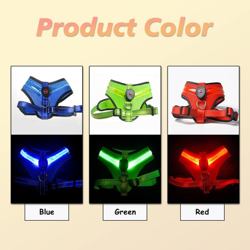 LED Light Dog Harness - Homestore Bargains