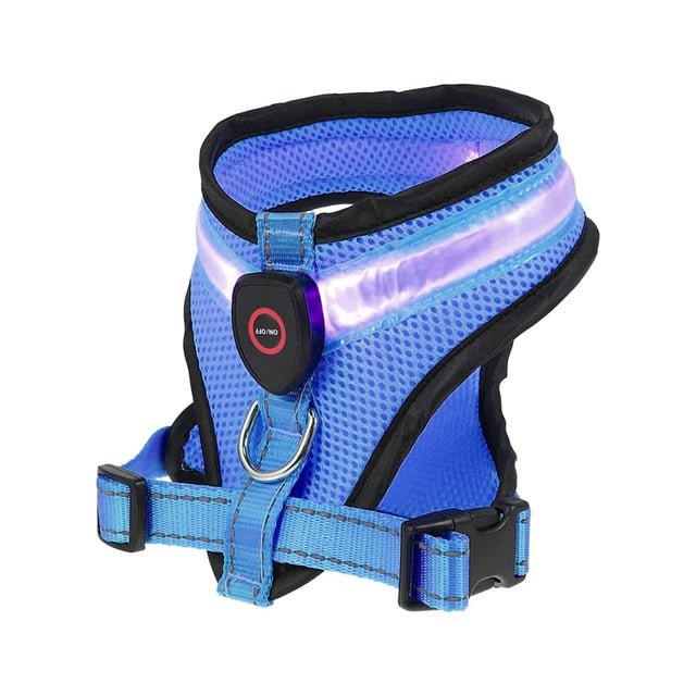 LED Light Dog Harness - Homestore Bargains