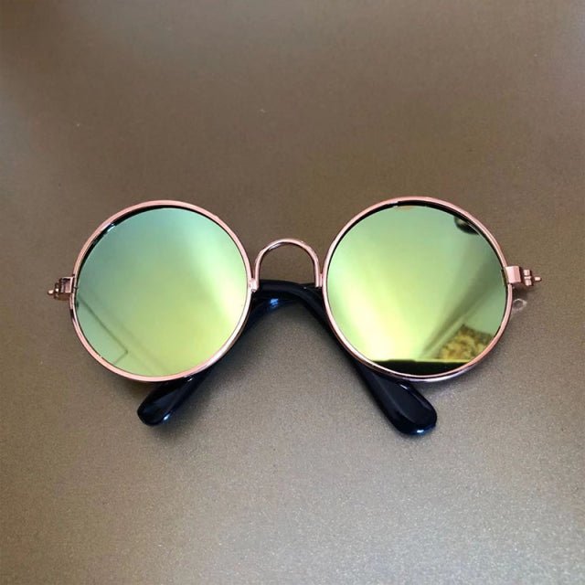 Pet Sunglasses - Homestore Bargains