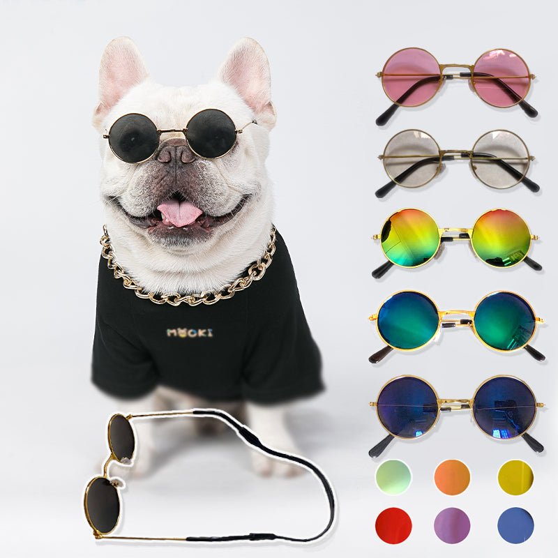 Pet Sunglasses - Homestore Bargains