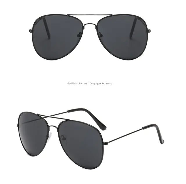 Polarized Classic Aviation Sunglasses - Discover Top Deals At Homestore Bargains!