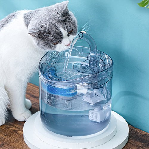 Smart Cat Water Fountain - Homestore Bargains