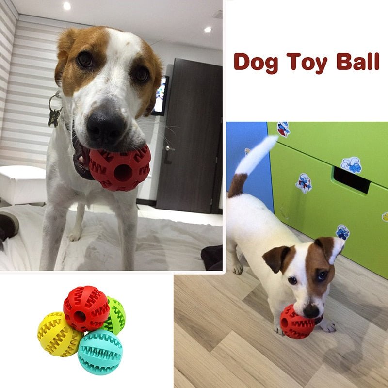 Treat Ball for Cats and Dogs - Homestore Bargains