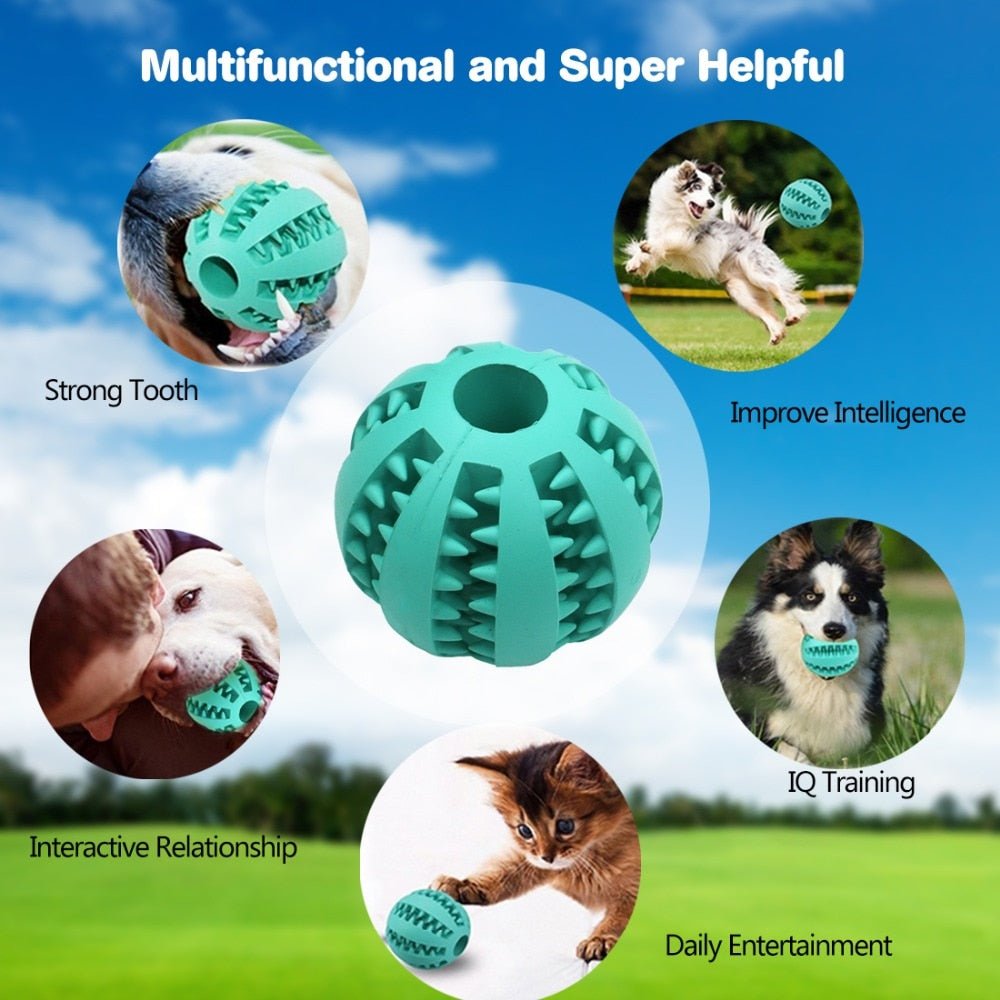 Treat Ball for Cats and Dogs - Homestore Bargains
