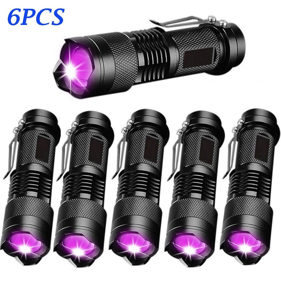 UV LED Flashlight - Homestore Bargains