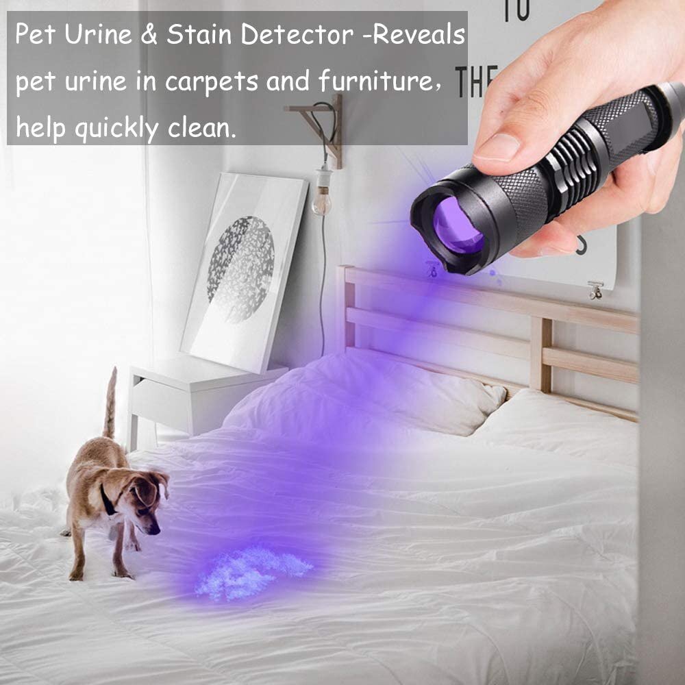 UV LED Flashlight - Homestore Bargains