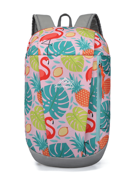 Hiking Backpack