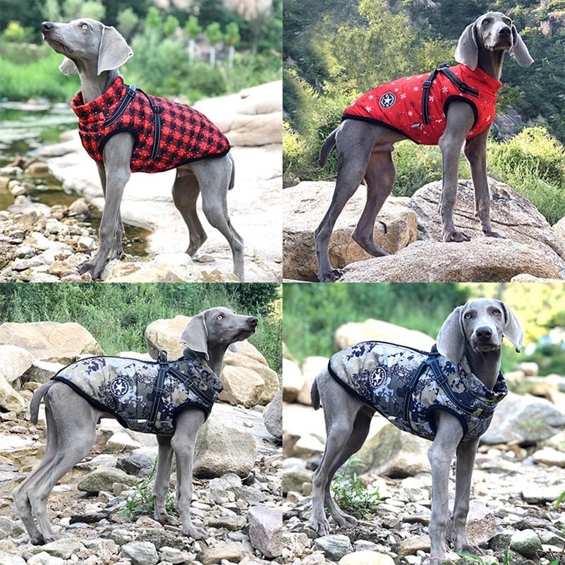 Winter Dog Clothes - Homestore Bargains