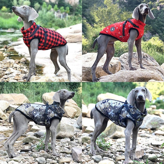 Winter Dog Clothes - Homestore Bargains