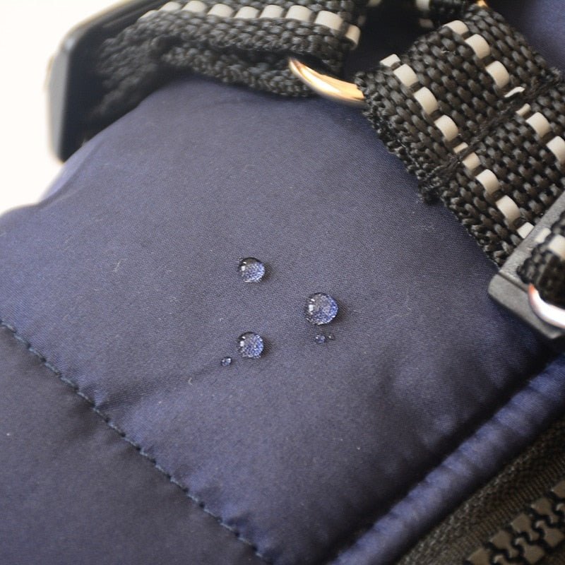 Winter Dog Clothes - Homestore Bargains